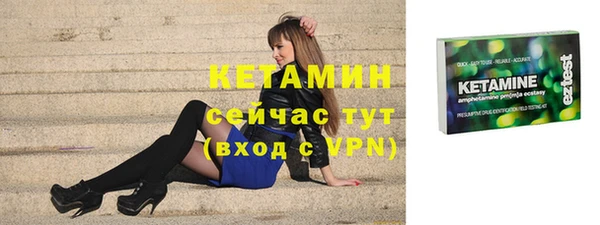 хмурый Аркадак