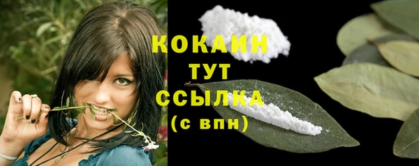 спайс Арсеньев