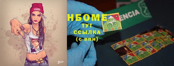 хмурый Аркадак