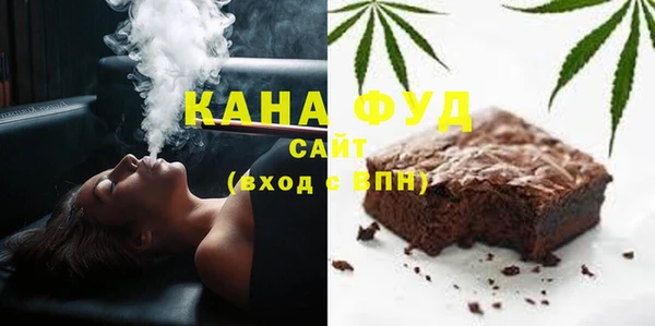 хмурый Аркадак