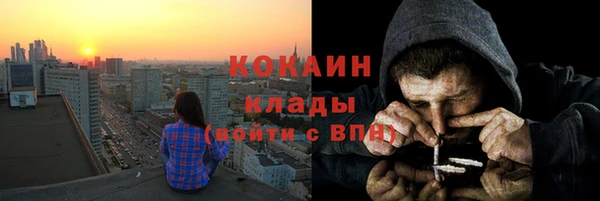 хмурый Аркадак