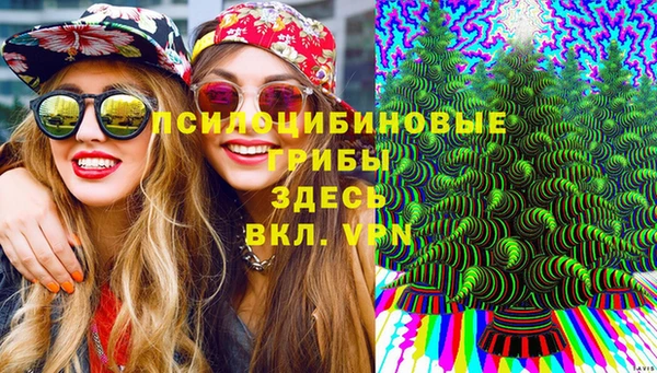 спайс Арсеньев