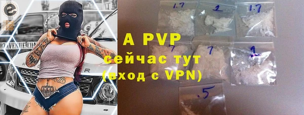 хмурый Аркадак