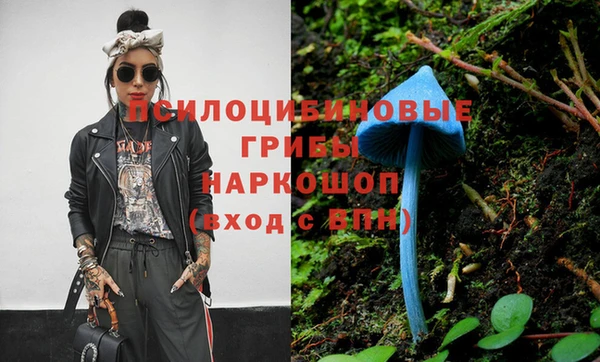 спайс Арсеньев
