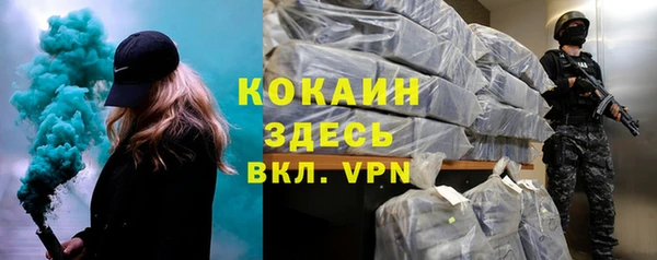 хмурый Аркадак