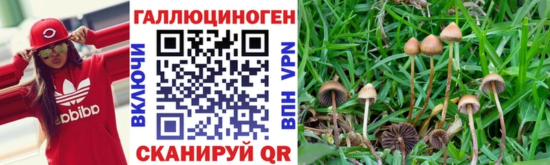 Псилоцибиновые грибы MAGIC MUSHROOMS  ссылка на мегу ONION  Берёзовский 